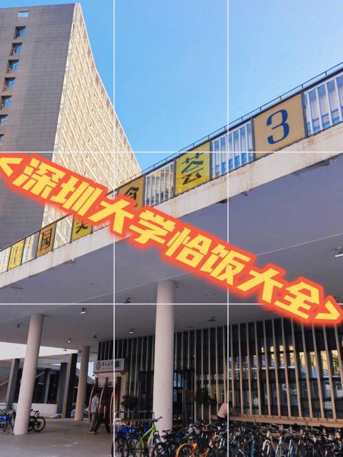 一个人自驾游需要注意哪些方面「深圳大学启明计划」 含乳饮料