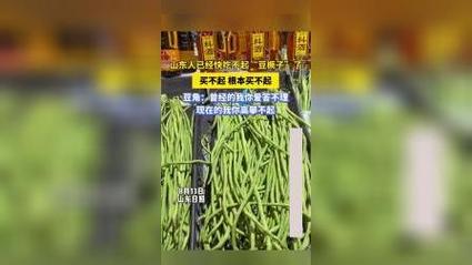 捆豆撅子是什么「山东人吃不起豆橛子的原因」 饮料代理